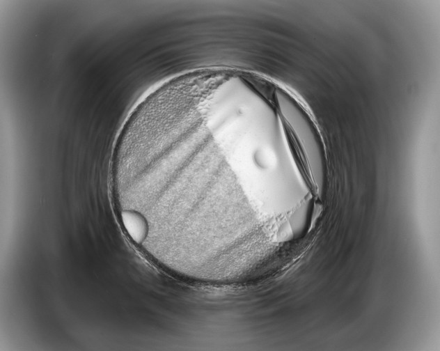 X0000086270895200704262014
