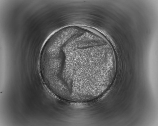 X0000086270896200704262014