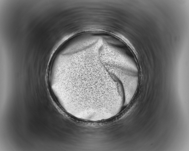 X0000086270901200704262014