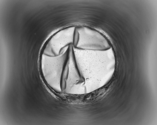 X0000086270902200704262014