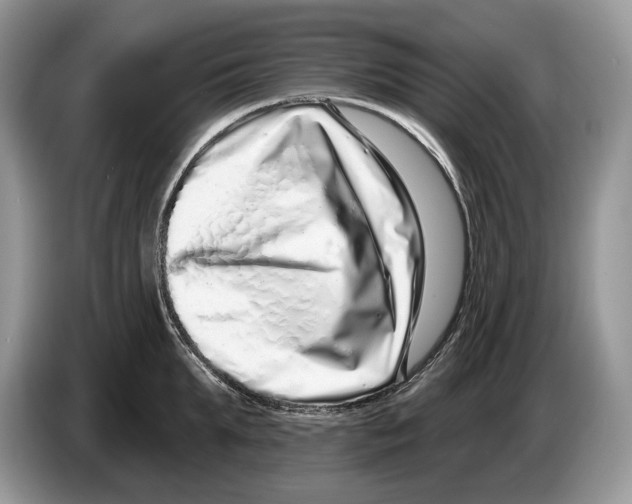 X0000086270903200704262014