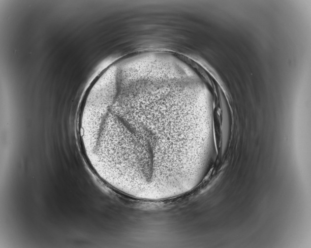 X0000086270909200704262013