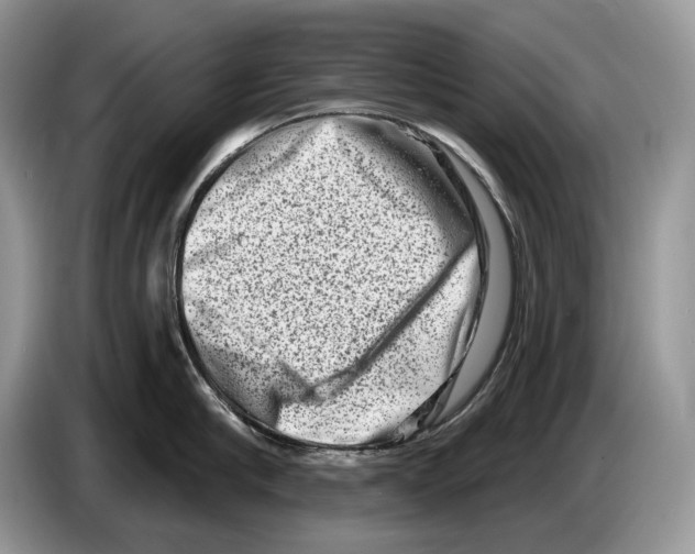 X0000086270910200704262013