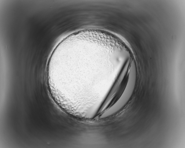 X0000086270911200704262013