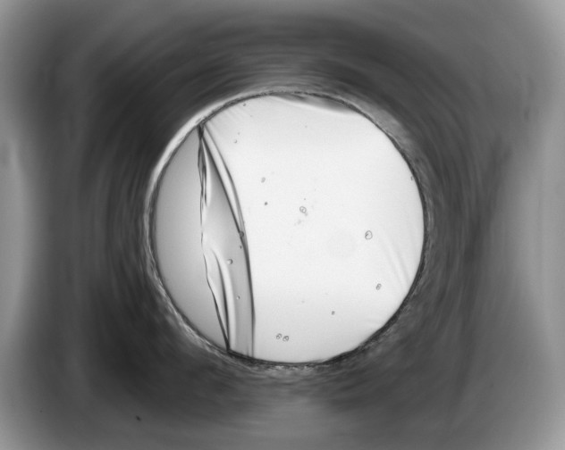X0000086270912200704262013