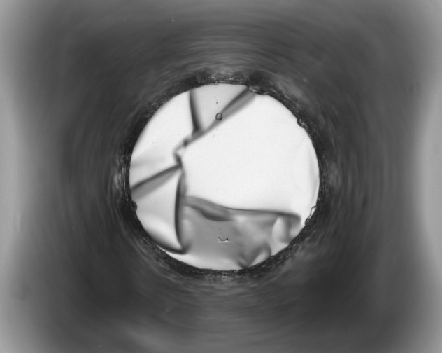 X0000086270914200704262013
