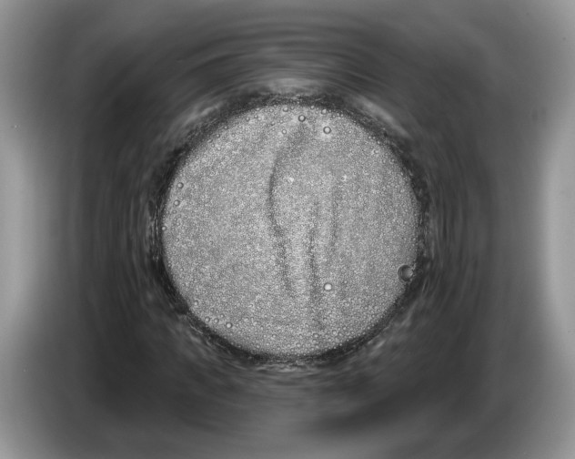 X0000086270917200704262013