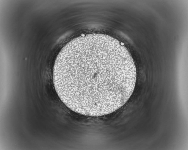 X0000086270918200704262013