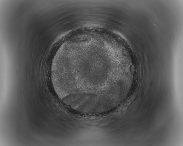 X0000086270919200704262013