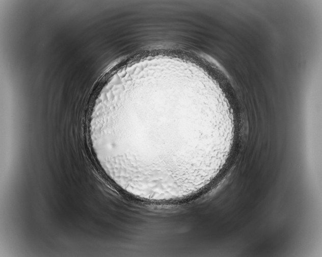 X0000086270921200704262013