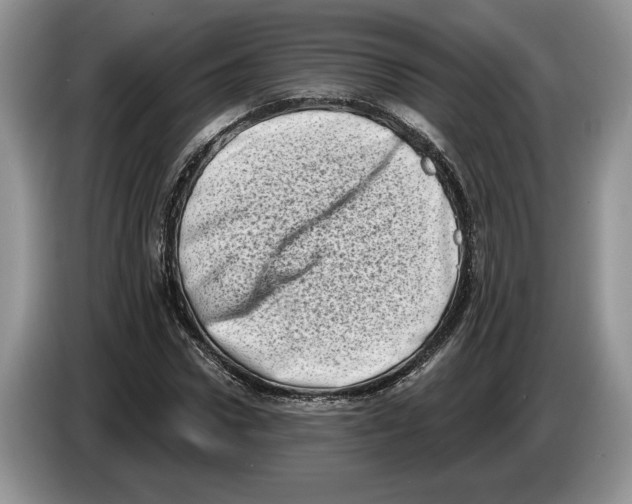 X0000086270922200704262013
