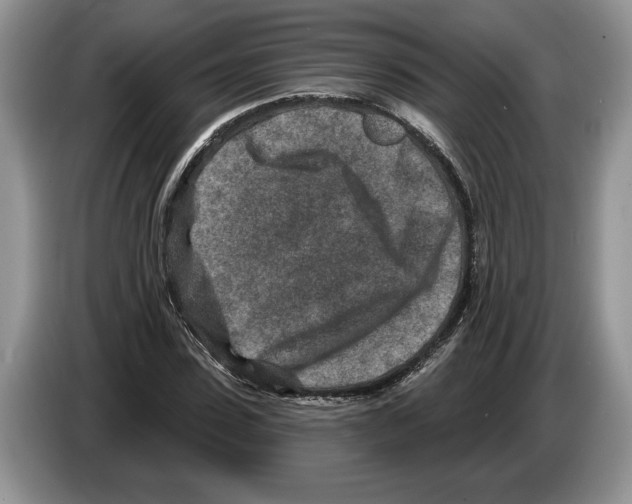 X0000086270923200704262013