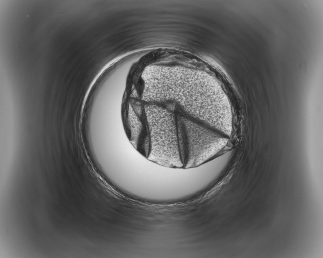 X0000086270924200704262013