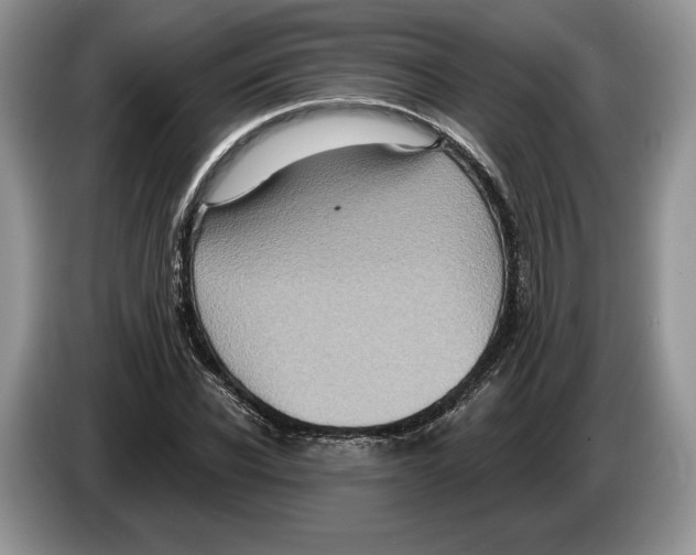 X0000086270926200704262013