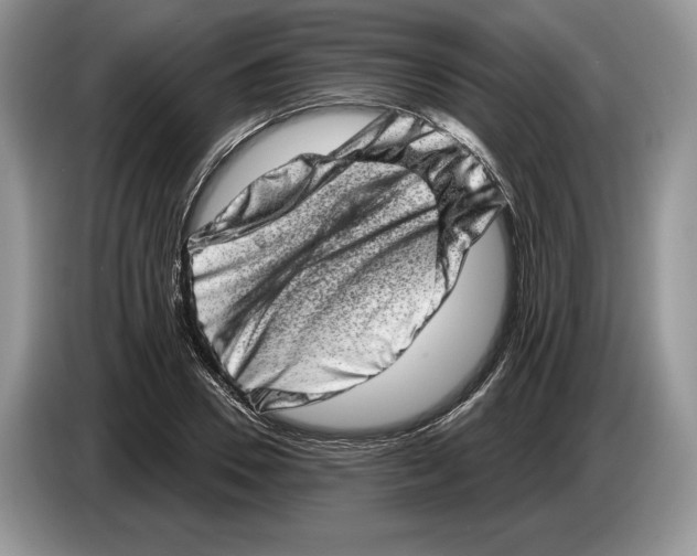 X0000086270930200704262013