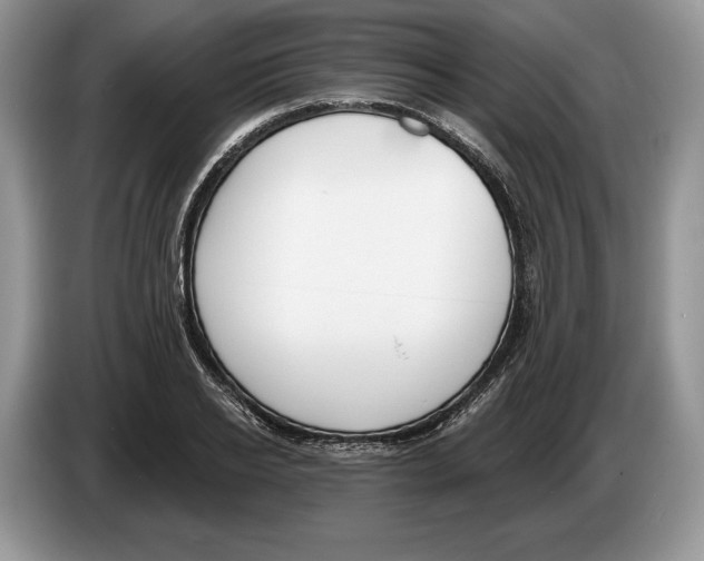 X0000086270934200704262013