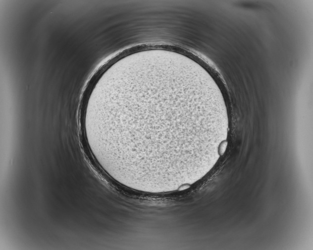 X0000086270935200704262013