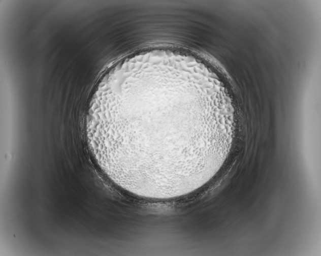 X0000086270937200704262013