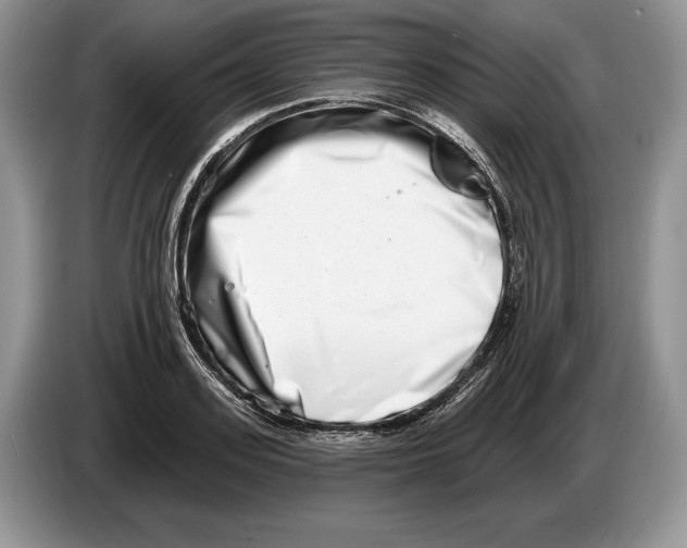 X0000086270939200704262013