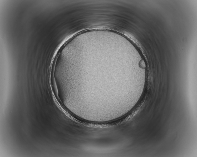 X0000086270941200704262013