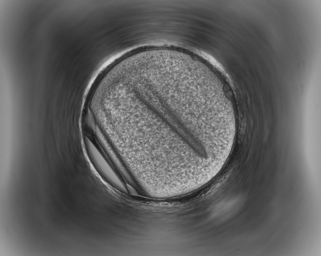 X0000086270943200704262013