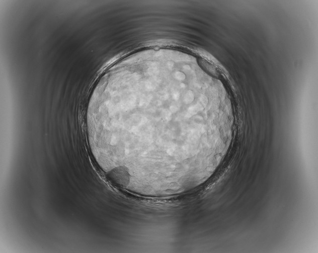 X0000086270945200704262013