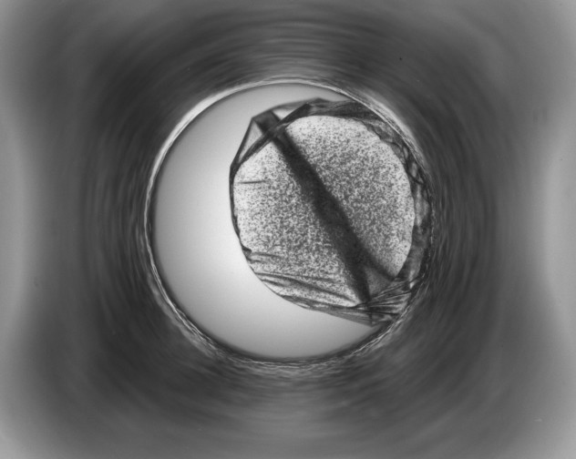 X0000086270948200704262013