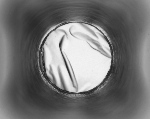 X0000086270949200704262013