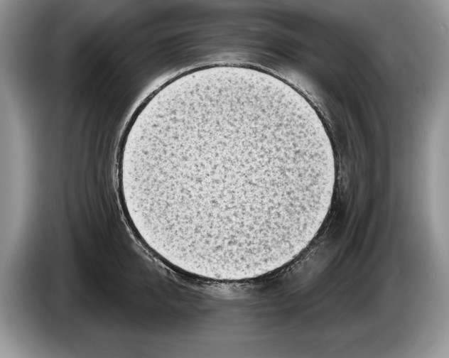 X0000086270950200704262013