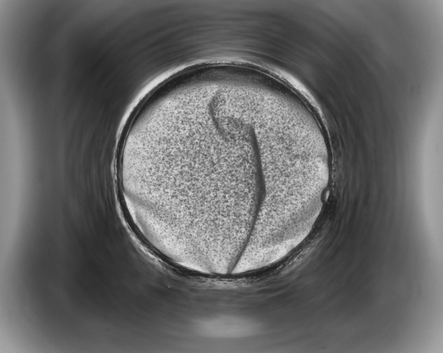 X0000086270951200704262013