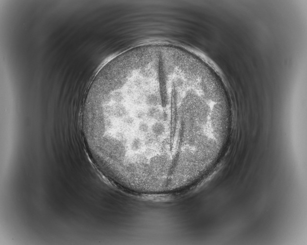 X0000086270953200704262013