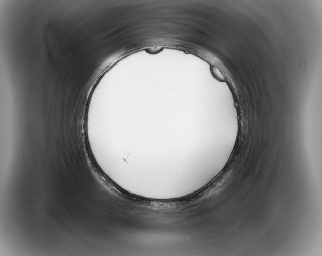 X0000086270954200704262013
