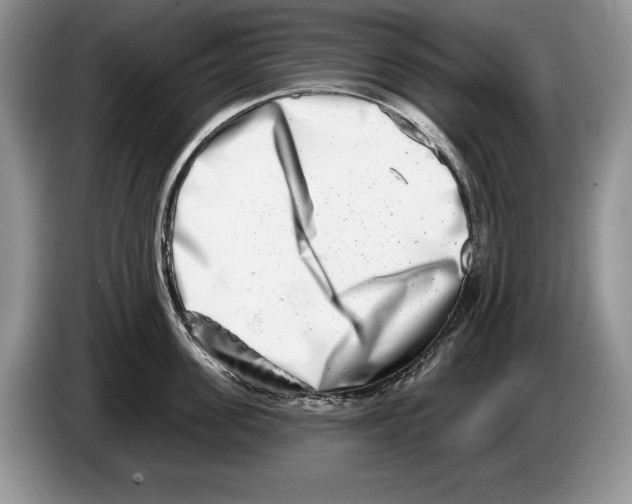 X0000086270955200704262013