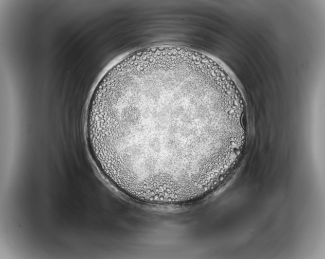 X0000086270957200704262013
