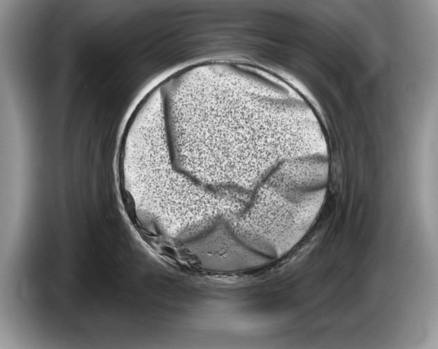 X0000086270959200704262013