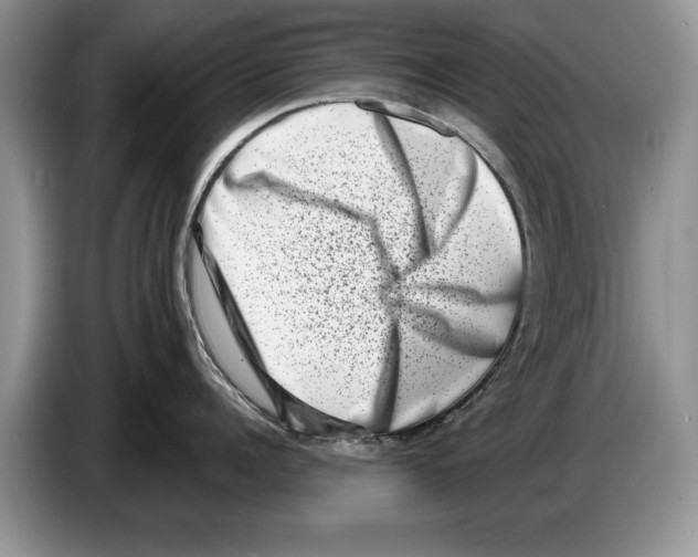 X0000086270960200704262013