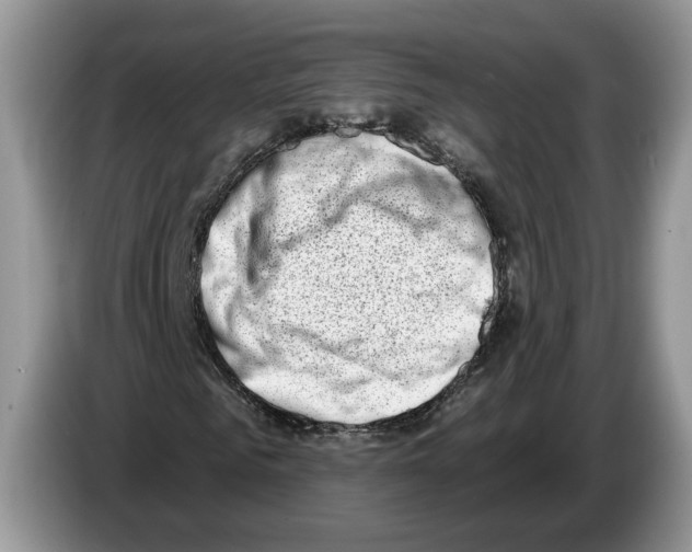 X0000086270961200704262013