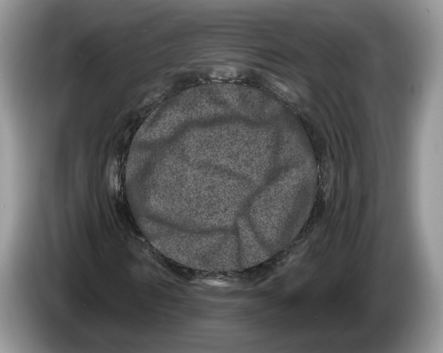 X0000086270962200704262013