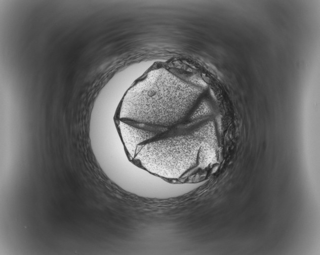 X0000086270965200704262013