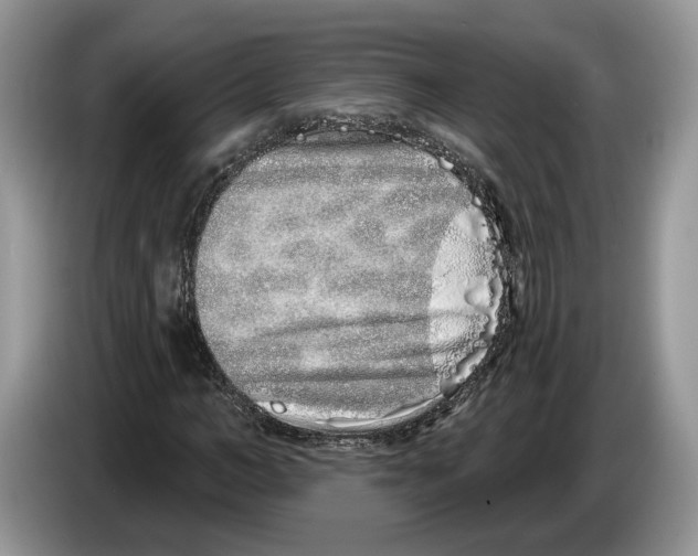 X0000086270966200704262013