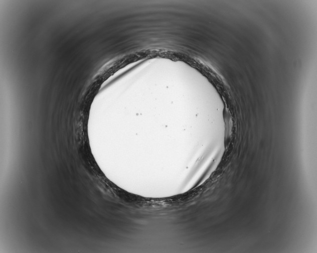 X0000086270968200704262013
