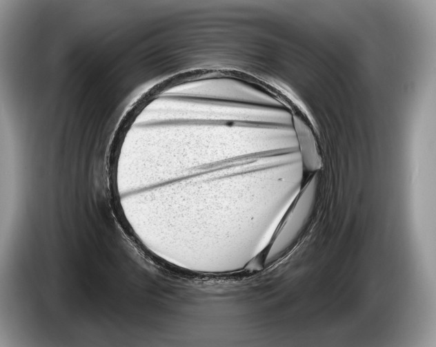 X0000086270972200704262013