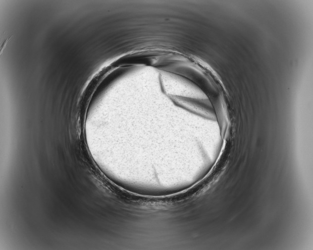 X0000086270973200704262013