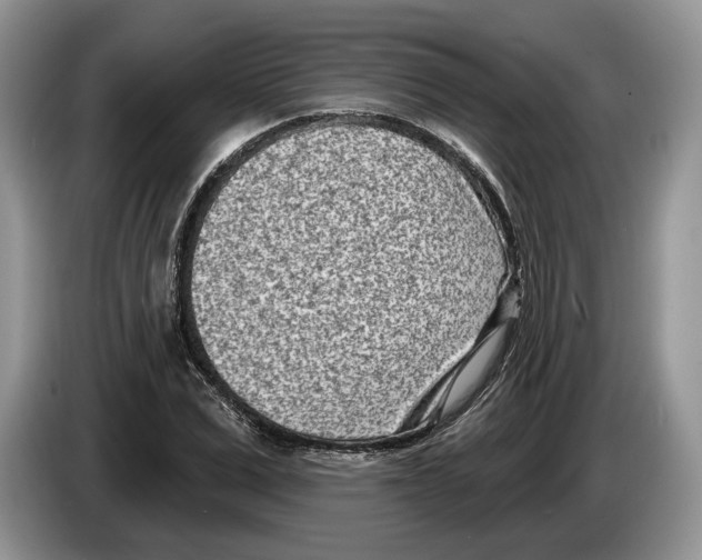 X0000086270975200704262013