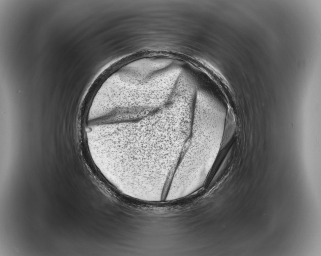 X0000086270976200704262013