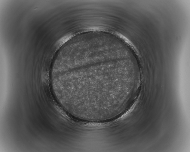 X0000086270977200704262013