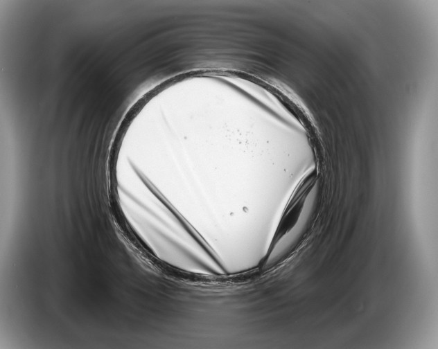 X0000086270980200704262013