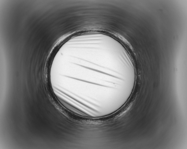 X0000086270981200704262013