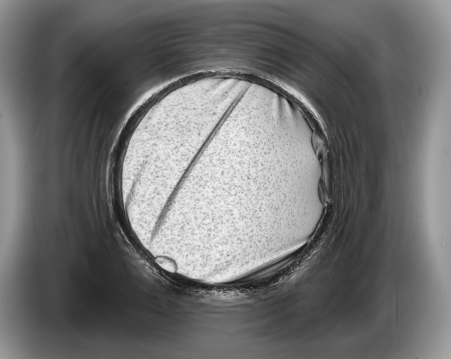 X0000086270983200704262013
