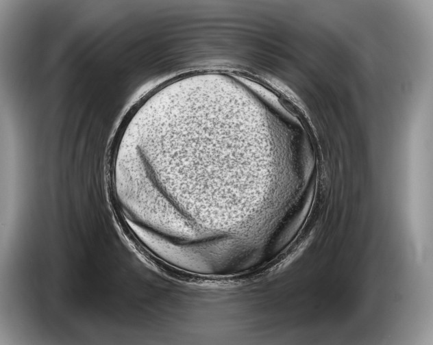 X0000086270989200704262012
